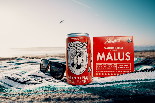 Malus box and can on blanket at beach